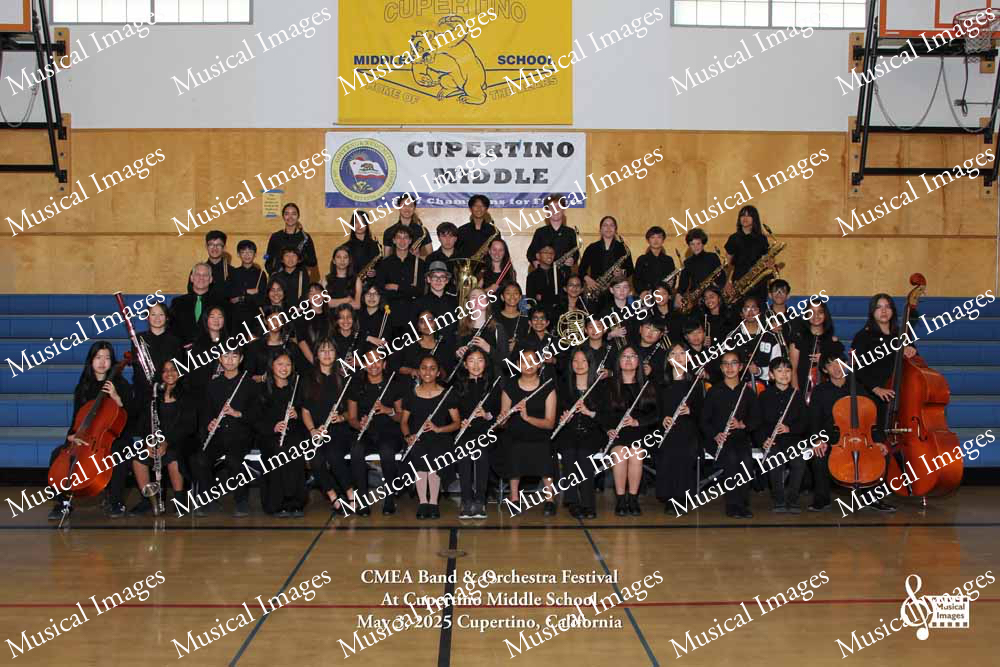 Musical Images